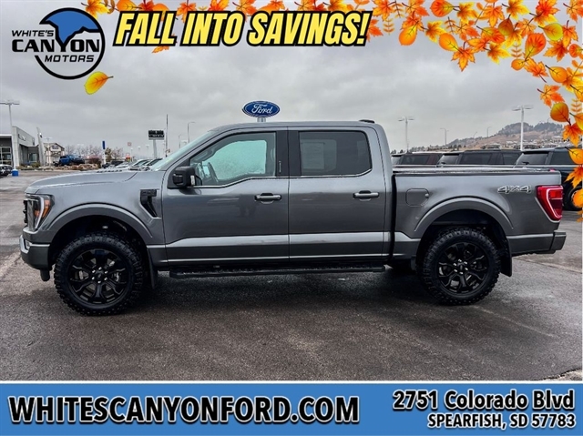 Used 2022 Ford F-150 XLT with VIN 1FTFW1E84NFB45205 for sale in Winner, SD